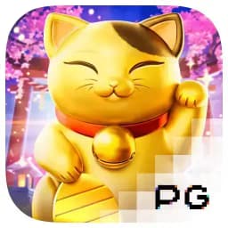 worldpadeltouritalia: Lucky Neko