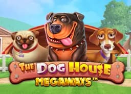 worldpadeltouritalia: The Dog House Megaways